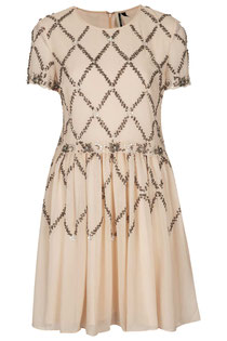 Topshop embellished skater dress