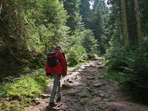Geocaching mit Day Pack