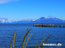 angekommen in Puerto Natales