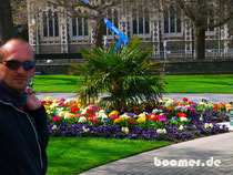 der Frühling kann hoffentlich auch Christchurch wieder ein Lächeln ins Gesicht zaubern