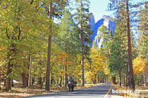 auch im Yosemite ist der Herbst angekommen