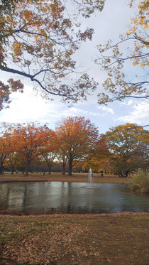 代々木公園