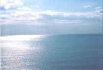 海