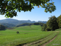 Oberhalb Titterten - Richtung Wasserfallen