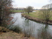 Fluss Leine in der Garbsener Schweiz