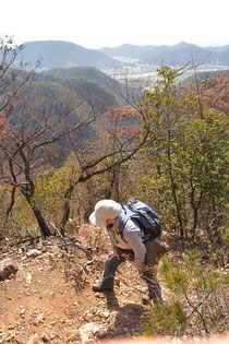 登山道と長良川