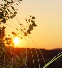 Séjour vacances romantique en Lot et Garonne