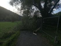 Der Tag nach dem Sturm