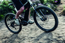 Delite hybrid II e-Bike von Riese & Müller