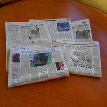Gerps-Mausmaki in der madagassischen Presse.