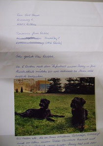 Waldek Tierservice Hundepension  Dresden, Großenhain, Ortrand, Bernsdorf