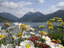 Schliersee Touristik