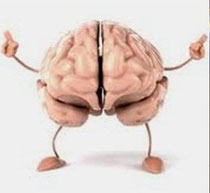 Dinamizando tu consciencia a través del cerebro!