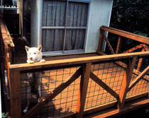 犬ウッドデッキ札幌　