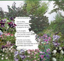 Ultime poème de Louis Guillaume. Composition florale/hommage de Jeanine Rivais