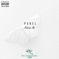 Panel - Release Me   mp3