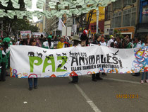 Peace  Marchers