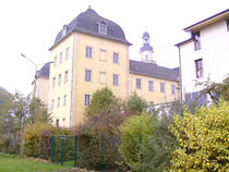 Coswiger Schloss Herbst an der Elbe