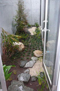横浜で手入 横浜の植木屋 横浜の庭師