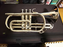 blog:コルネット選び - Yoshihiko Nishitani Trumpet Official Site blog:コルネット選び - Yoshihiko Nishitani Trumpet Official Site