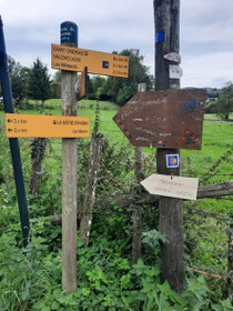 Extralange Etappe stand bevor ... weit über 30km ist sehr weit