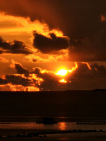 夕陽