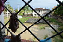 Blick aus dem Mädchenzimmer auf die Sumpflandschaft.