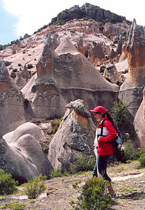 Bosque de Piedras de Pancula