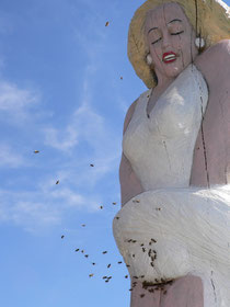 Marilyn Monroe für Bienen I