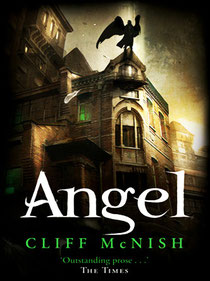 Angel by Cliff McNish