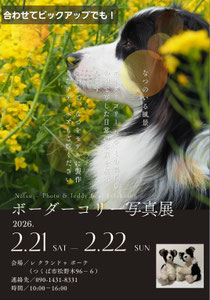 写真&テディベア展