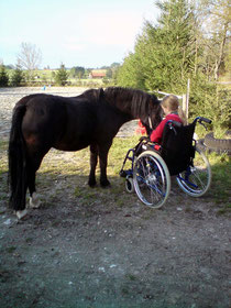 Andrea mit Jet beim Rollstuhltraining