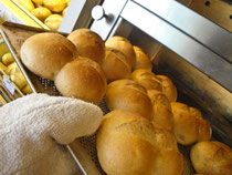 Bäckerei Weißbach Brötchen Auswahl - Foto: © Devant Design