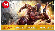 The flash. Temporadas de la 1 a la 5. 