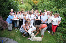 Sommerfest