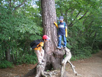山登りの休憩で、木登りを始めた　子供たち