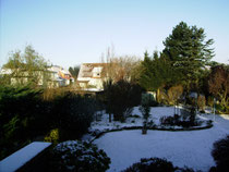 Winter in Garten