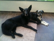 ich und mein Kumpel Sunny