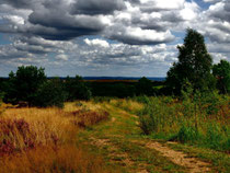 Wanderung durch die Syrauer / Kauschwitzer Heide