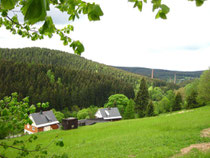 Wanderung im Waldgebiet von Morgenröthe