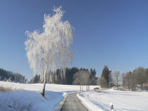 Winterwanderung bei Plauen