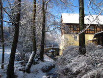 Burgsteinwanderung im Winterkleid