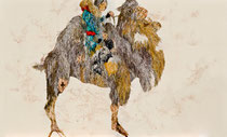 camel rider 2013