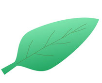 シェイプアート・木の葉