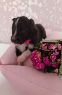 Bi Black Mädchen