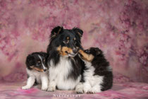 Eclaire, Summer ,Elaine