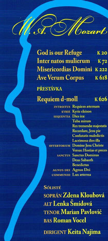 program brochure