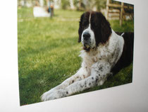Erna von der Falkenranch (1997-2009)