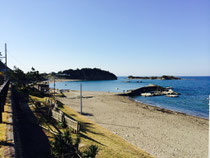 とても素朴でのどかな海岸