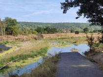 Der Radweg an der Ahr